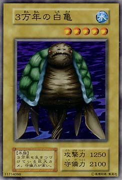 30000-Year White Turtle