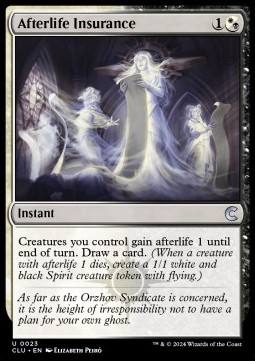 Afterlife Insurance
