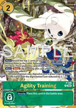 Agility Training (P-106)