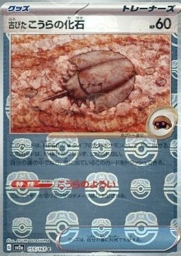 Antique Dome Fossil  (xsv2a 155)