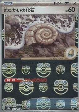 Antique Helix Fossil  (xsv2a 154)