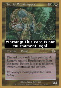 Anurid Brushhopper
