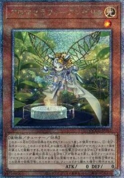 Aromaseraphy Angelica (V.3 - Quarter Century Secret Rare)