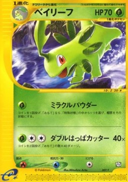 Bayleef  (T-P 007)