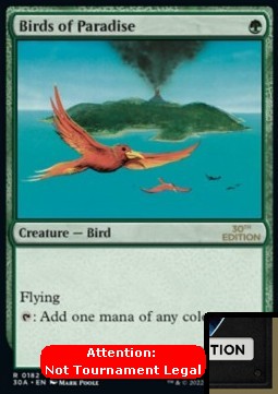 Birds of Paradise (V.1)