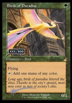 Birds of Paradise (V.3)