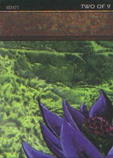 Black Lotus Puzzle Card (V.2)