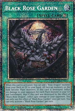 Black Rose Garden (V.2 - Starlight Rare)