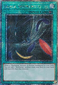 Black Whirlwind (V.2 - Quarter Century Secret Rare)