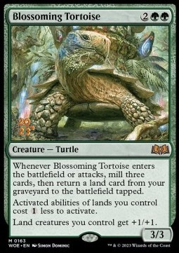 Blossoming Tortoise (V.1)