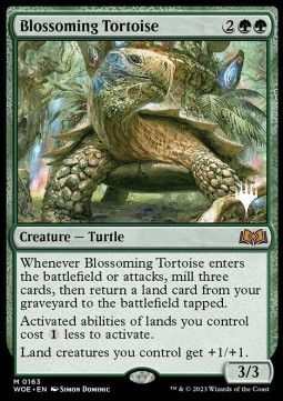 Blossoming Tortoise (V.2)
