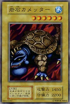 Boulder Tortoise