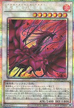 Bramble Rose Dragon (V.2 - Starlight Rare)