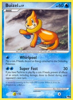 Buizel Lv.17  (POP9 6)