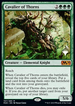 Cavalier of Thorns (V.1)