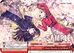 Cherry Blossoms in Full Bloom (V.1 - Common)