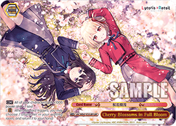 Cherry Blossoms in Full Bloom (V.2 - Feature Rare)