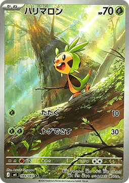 Chespin  (m4 084)
