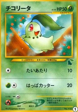Chikorita  (IPNC 1)