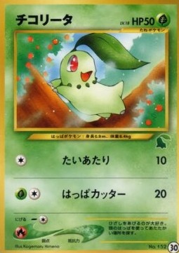 Chikorita  (IPNC 30)