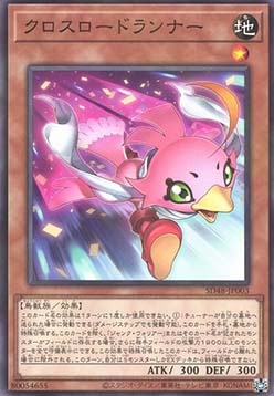 Crossroad Sonic Chick