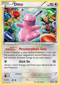 Ditto  (XYPR 40)
