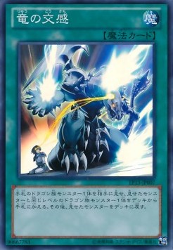 Draconnection