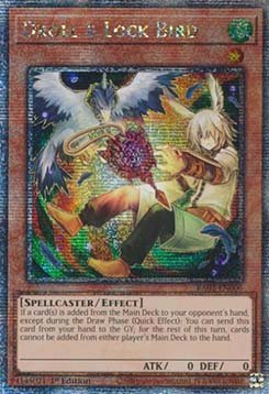 Droll & Lock Bird (V.10 - Quarter Century Secret Rare)