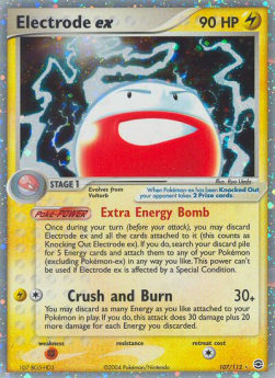 Electrode ex  (FL 107)