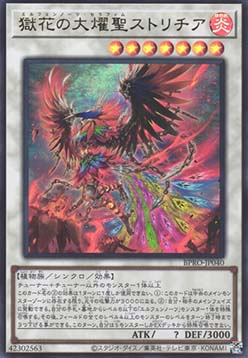Elfnote Seraphim Strelitzia (V.1 - Ultra Rare)
