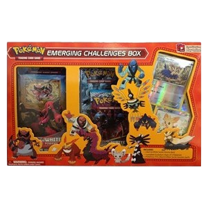 Emerging Challenges Box