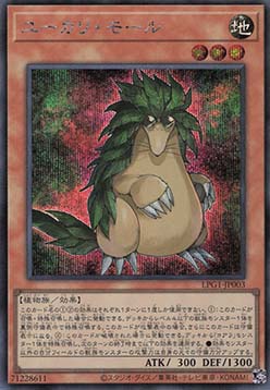 Eucalyptus Mole (V.3 - Starlight Rare)