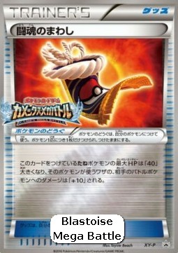 Fighting Fury Belt (XY-P)