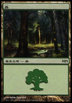 Forest (V.10)