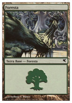 Forest (V.55)