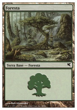 Forest (V.56)