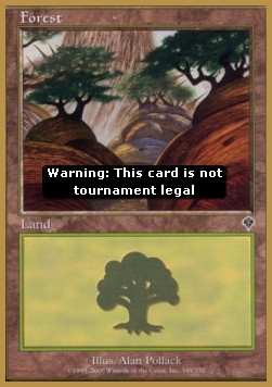 Forest (V.6)
