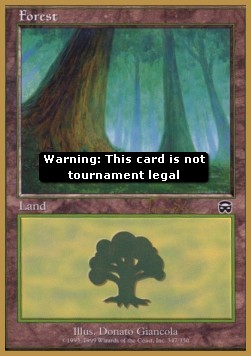 Forest (V.7)