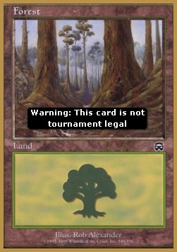 Forest (V.8)