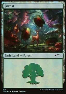 Forest (V.11)