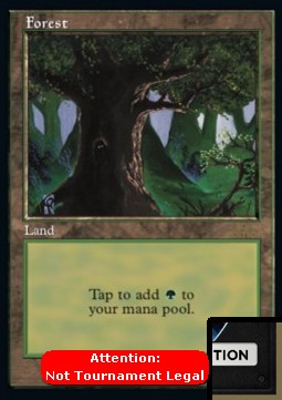 Forest (V.6)