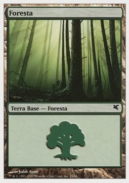 Forest (V.60)