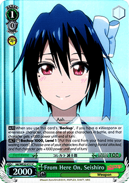 From Here On, Seishiro (V.2 - Parallel Foil)