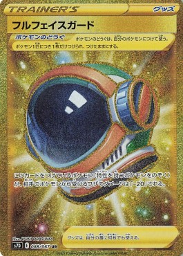 Full Face Guard (s7D 088)
