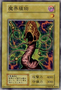Fungi of the Musk