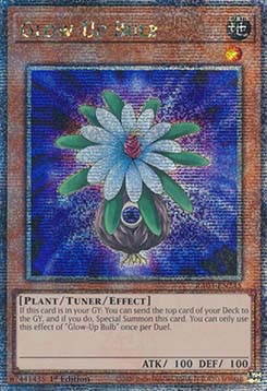 Glow-Up Bulb (V.2 - Quarter Century Secret Rare)