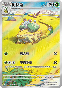 Grotle  (CBB4C 08)