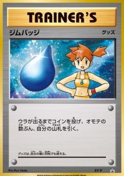 Gym Badge (XY-P)