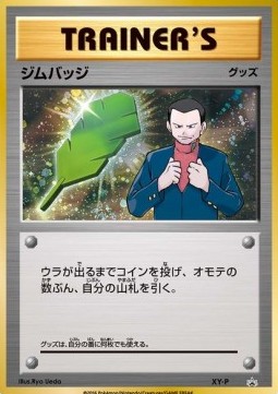 Gym Badge (XY-P)