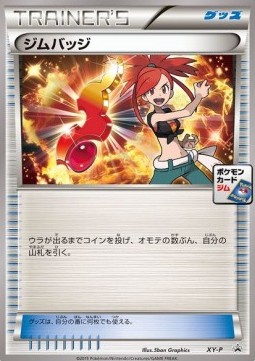 Gym Badge (XY-P)